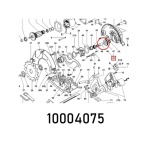 Festool Cylinder Gear Csp 55-2 - FES10004075