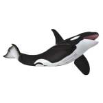Sealife Orca