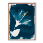 Hibiscus I Art Print - A3