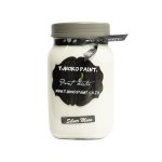 1LT Tjhoko Paint Silver Moon