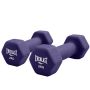 Everlast Pair Of 2KG Dumbbells