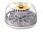 12 Egg Incubator Transparent Round Pet Spa Kit