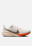 Nike Pegasus 41