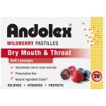 C Wildberry Pastilles 20'S