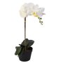 Artificial White Orchid In Pot