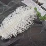 5PCS White Faux Feathers - Perfect For Wedding Decor Photo Props & Halloween Crafts