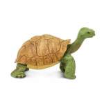 Giant Tortoise By