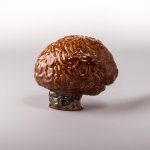 Creative Hub Brain Objet D'art - Sand & Bronze