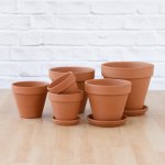 Terracotta Pot & Saucer - Standard - 20CM Terracotta Pot & Saucer