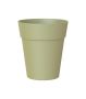 Pot Plastic Pot Capri Orchid Eucalyptus Artevasi 12.5CM