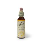 Hornbeam 20ML