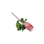 Artificial Closed Protea - Pink