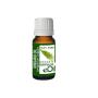 Oregano Origanum Essential Oil Organic - 10 Ml