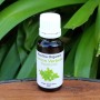 Lemon Verbena Essential Oil 22ML Nautica Organics