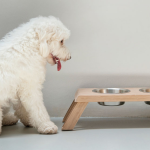 Bentley Dog Feeder - Medium - 52CM L X 16CM H X 21CM W