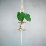 Macrame Hanger With Fishbowl And Delicious Monster
