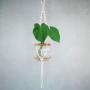 Macrame Hanger With Fishbowl And Delicious Monster