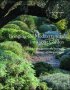 Bringing The Mediterranean Into Your Garden - How To Capture The Natural Beauty Of The Garrigue   Hardcover