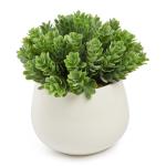 GREE N Sprig White Potted Plant