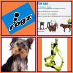 Rogz Classic Step-in Harness Small Opens 27-38CM SSJ14