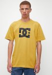 Star Short Sleeve Black Logo - Tinsel