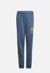 Adidas Original Graphic Pant - Wonder Steel