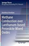 Methane Combustion Over Lanthanum-based Perovskite Mixed Oxides Hardcover 2015 Ed.