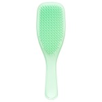 - The Wet Detangler - Mint Karma