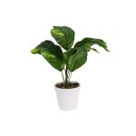 Artificial Plant In Pot Green Leaf Plant In White Pot - Light Green Watermelon
