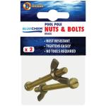 Pool Pole Nuts & Bolts Brass