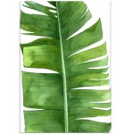 GREE N Leave 3 Wall Art Photography Print On Canvas 813 X 1220