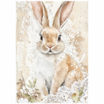 Tear Resistant Deco Print Shabby Bunny