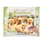 Paint By Numbers Junior Large Golden Retrievers