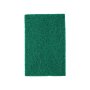 Hamilton Scourer Pads S Green