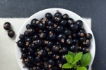 Blackcurrant Concentrate - 10ML