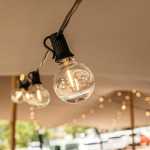 20M Classic String Lights 50 LED Bulbs Black Cable
