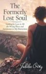 The Formerly Lost Soul - Looking For Love In All The Wrong Places And Satisfaction In My Distractions Hardcover
