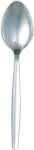 Steel Tea Spoon Set