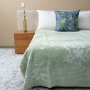 Pandora Mink 1PLY Queen Blanket - Sage
