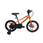 Peak 16 Bike