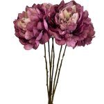 - Peonies - Plum Pack Of 6 Stems - 59CM