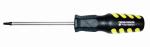 Torx T30 6 X 100MM