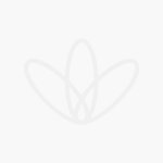 - Rolled Oats Gluten Free 1KG