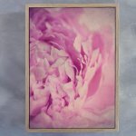 Peonies 2 Art Print - 100CM X 150CM Framed Canvas With Natural Wood Frame