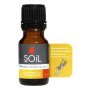 Aromatherapy Oil 10ML Citronella