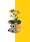 Plant Koozie - Hippo Grey