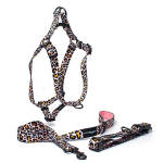 Walk On The Wild Side Collar Lead And Harness Bundle - Small