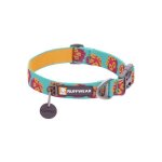 Flat Out Everyday Collar - Medium Colorado River
