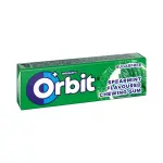 10'S Spearmint