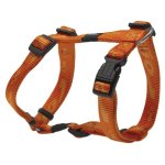 Rogz Alpinist Medium 16mm Matterhorn Dog H-harness Orange